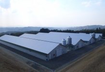 ほたるファーム鶏舎新築工事