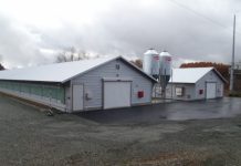 軽米農場鶏舎新築工事(14棟)